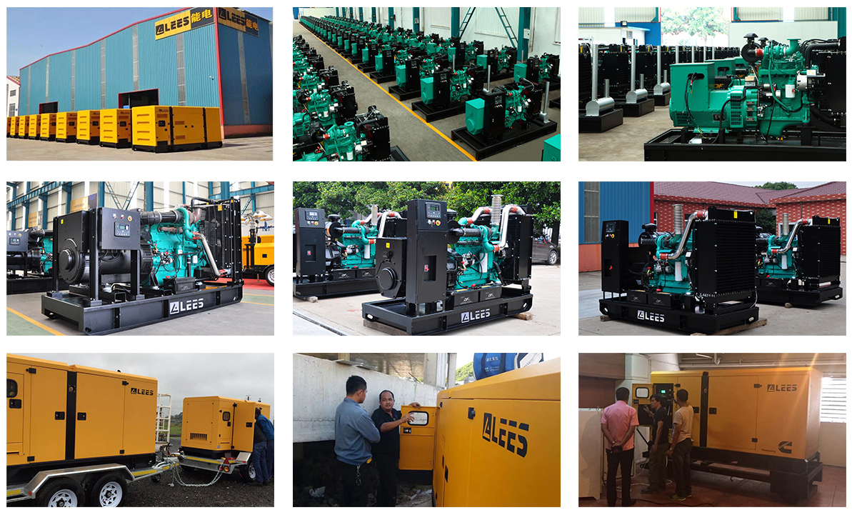 Case 300-1000kva