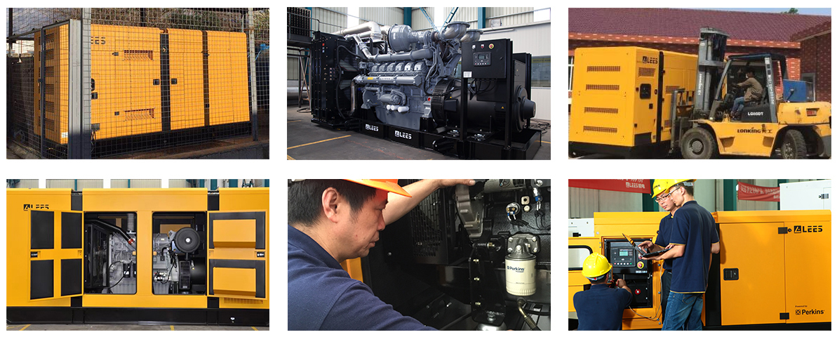 Case 300-1000kva