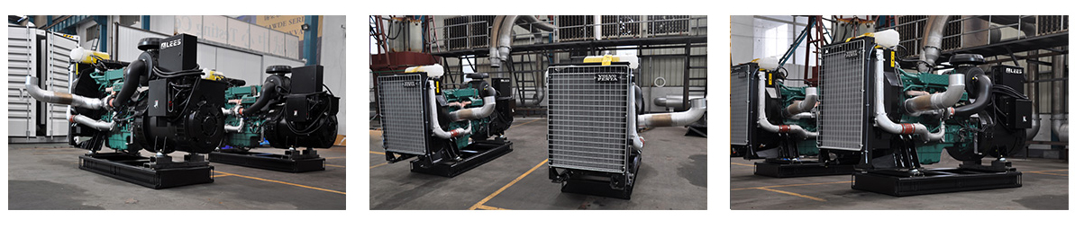 Case 300-1000kva