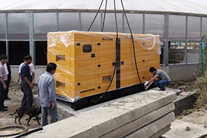 Générateur de diesel extérieur1
